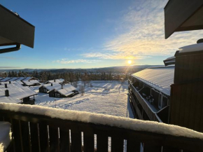 Charming Top Floor Apartment with Balcony Beitostølen
